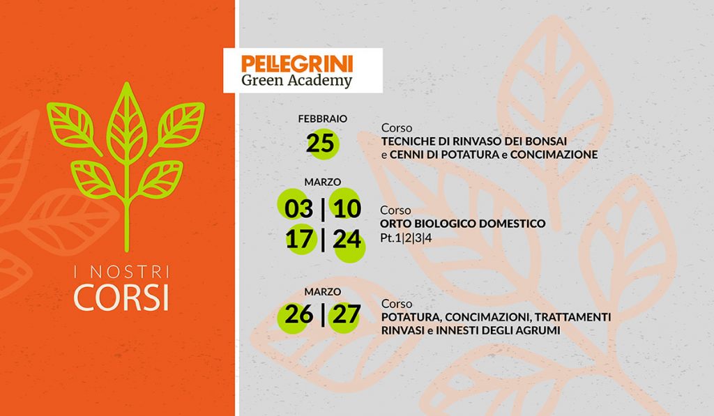 Programma corsi Pellegrini Academy