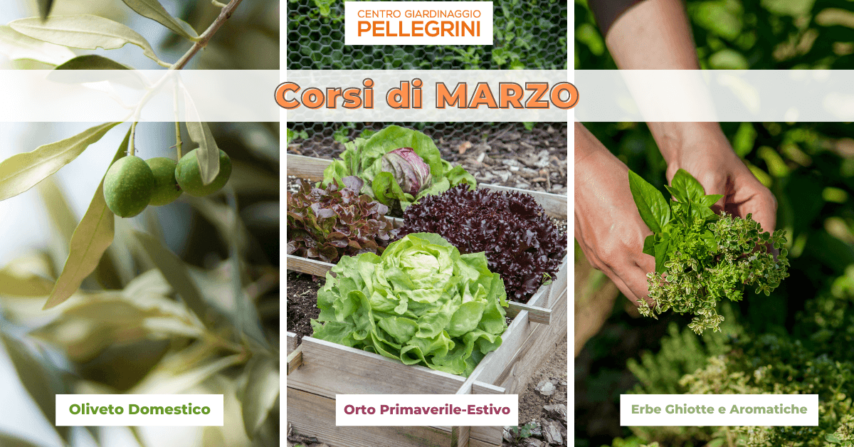 corsi-marzo-centro-giardinaggio-pellegrini-cover