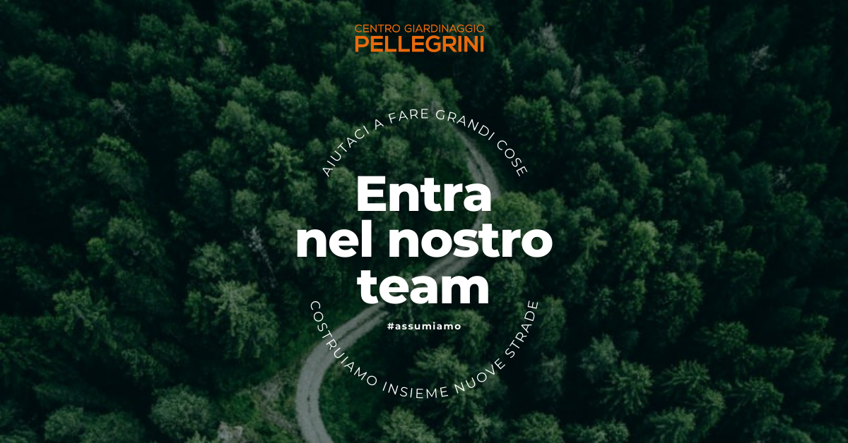 ricerca-personale-centro-giardinaggio-pellegrini