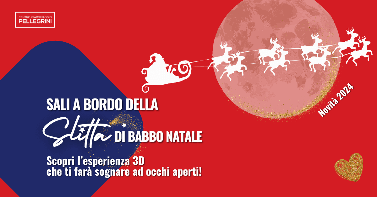 centro-giardinaggio-pellegrini-Slitta-babbo-natale-esperienza-3d