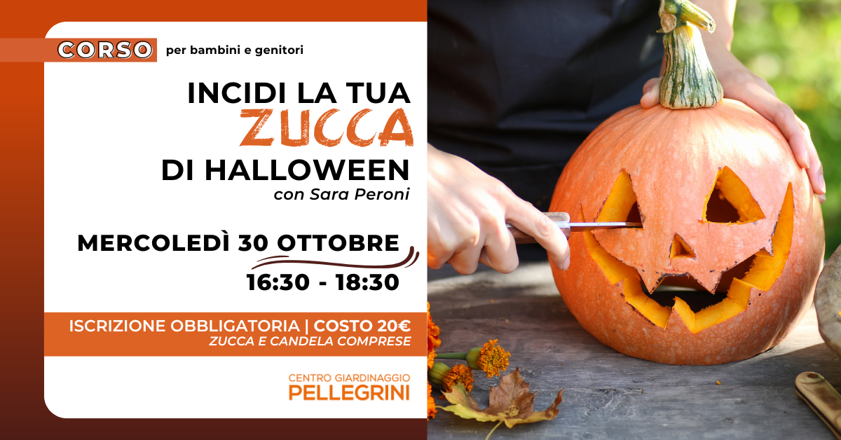 corso-intaglio-zucca-halloween-pellegrini