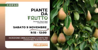 corso-piante-da-frutto-centro-giardinaggio-pellegrini