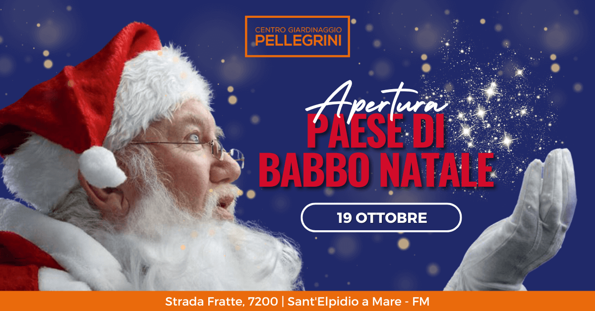 paese-babbo-natale-2024-centro-giardinaggio-pellegrini