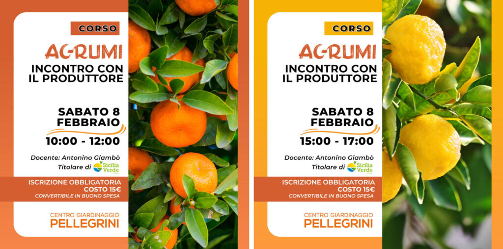 corso-agrumi-incontro-con-il-produttore-pellegrini