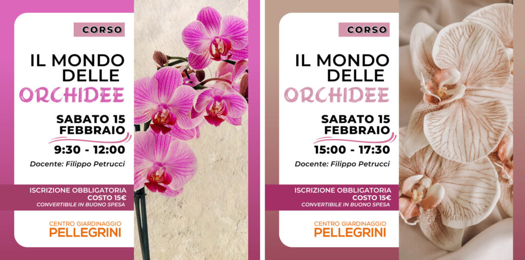 corso-orchidee-2025-pellegrini