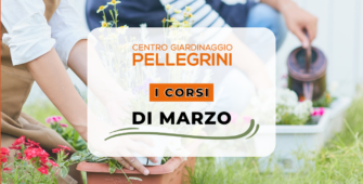 corsi-marzo-2025-pellegrini