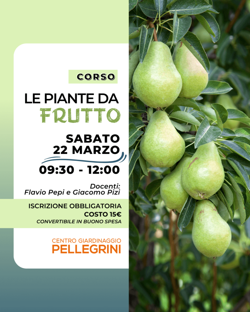 corso-alberi-da-frutto-centro-giardinaggio-pellegrini