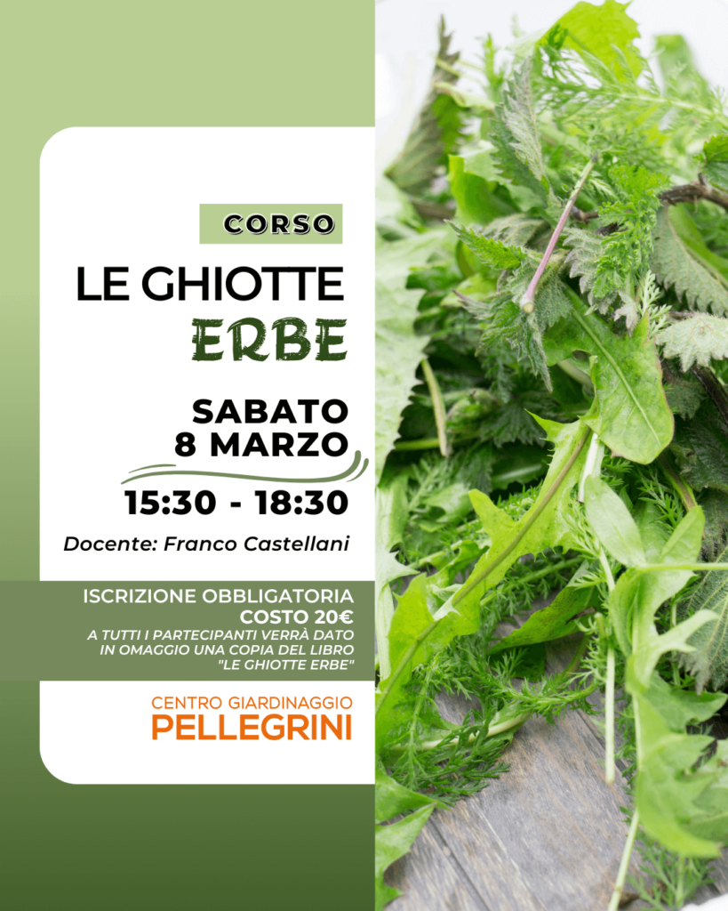 corso-erbe-ghiotte-centro-giardinaggio-pellegrini